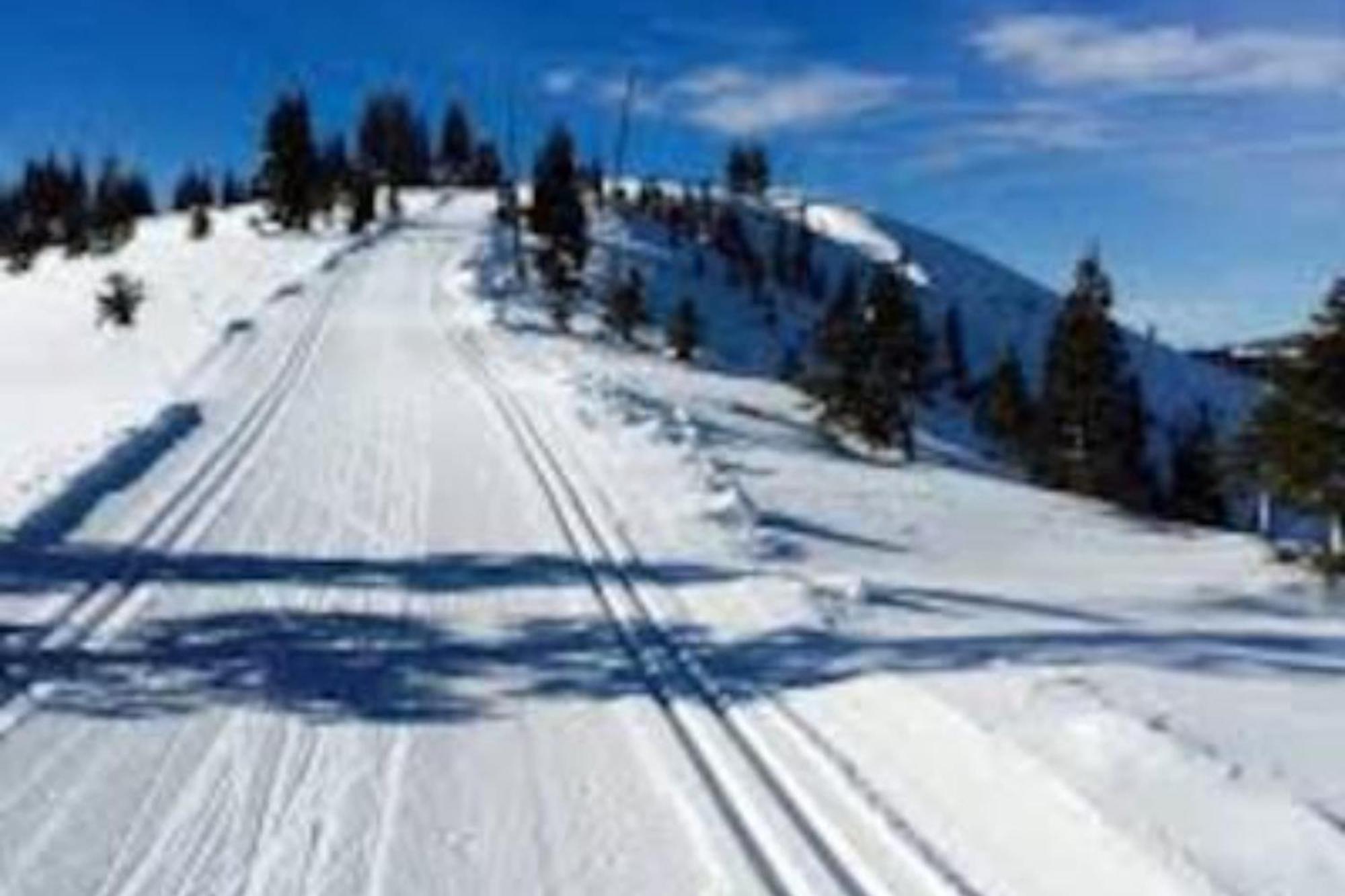 Moosetrack By Avantstay Cozy Cabin In The Of Tahoe Donner W Hot Tub Truckee Ngoại thất bức ảnh